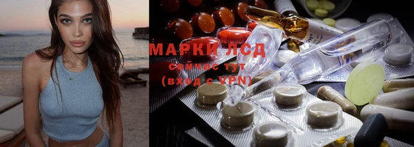 прущие крисы Каменногорск