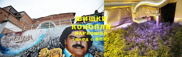 тгк Каменка