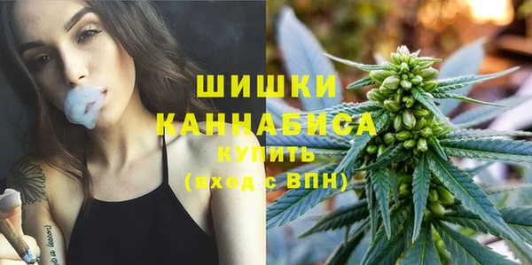 прущие крисы Каменногорск