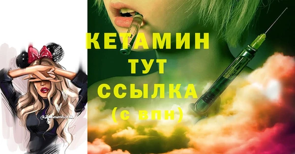 тгк Каменка