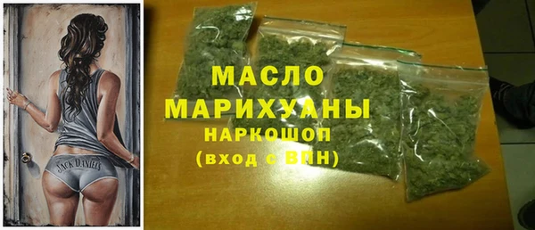 тгк Каменка