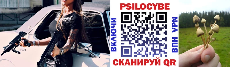 Псилоцибиновые грибы Psilocybe  Томилино 